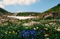 br95_saulajoch_08