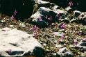 br95_saulajoch_11