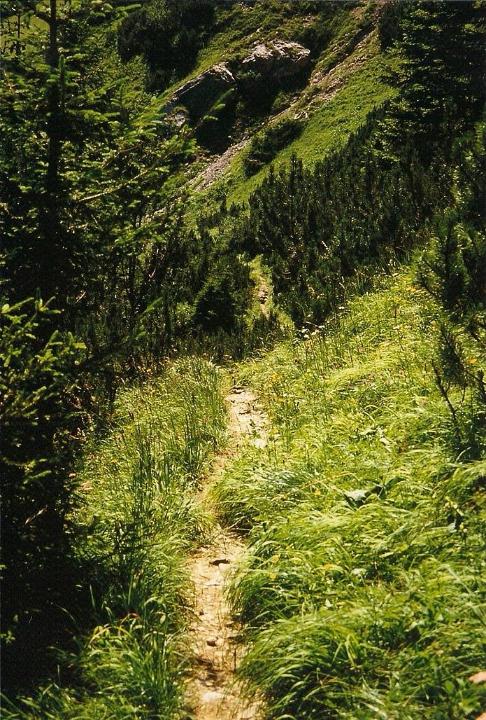 br96_obersonlag_2.jpg - What a nice path!