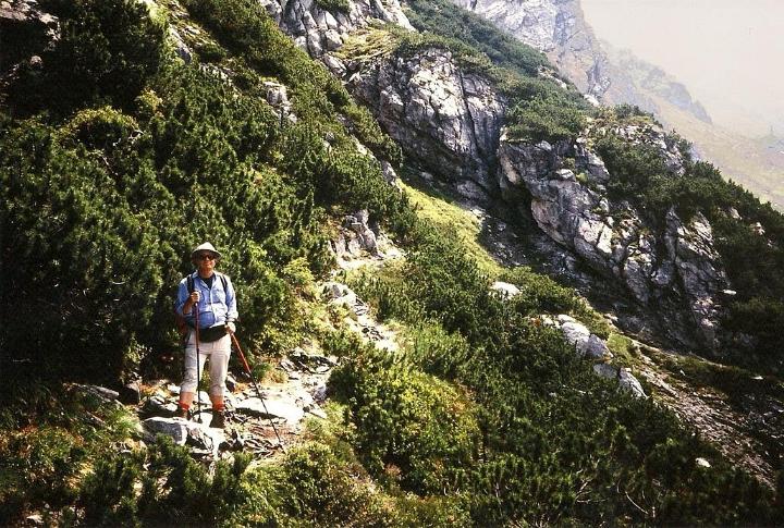 br96_saulajoch_6.jpg - John negociating the Saulajochsteig.
