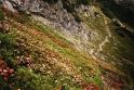 br96_saulajoch_2