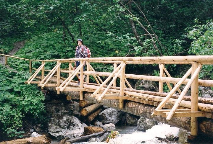 br99_sarotla01_a.jpg - A bridge across the torrent in the Sarotla Valley