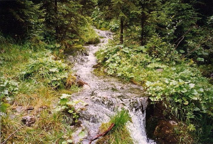 br99_sarotla02.jpg - A side creek