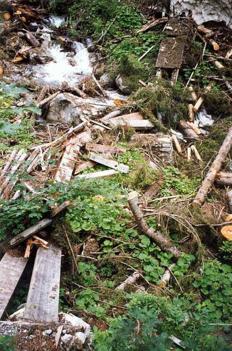 br99_sarotla06.jpg - Debris washed down from broken bridges.