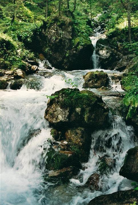 br00_glinga_2.jpg - Up near the source.
