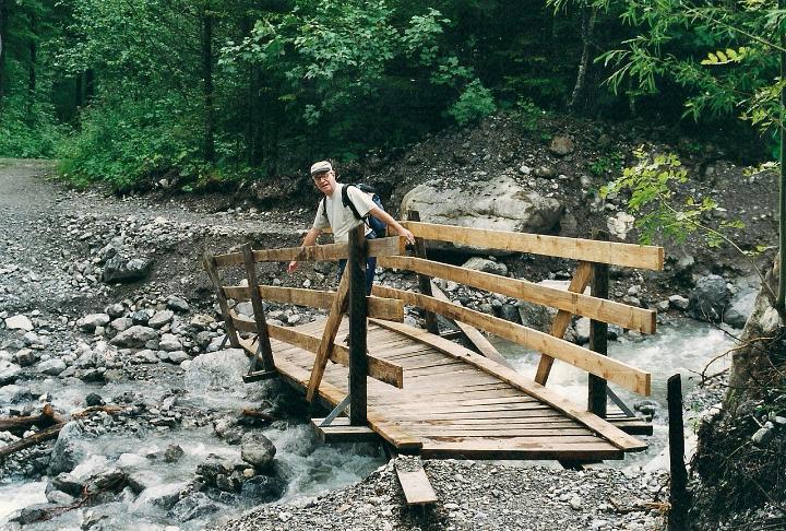 br00_gruenerwald_4.jpg - A casualty of the recent rains.