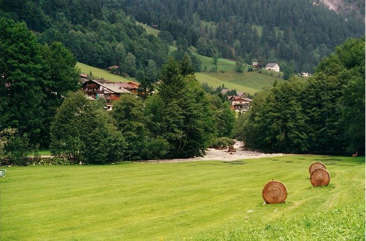 br00_gruenerwald_5.jpg - Swollen Bach in the background.