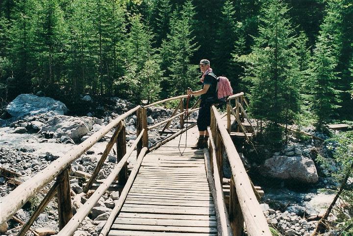 br00_sarotla_2zz.jpg - This bridge survived..
