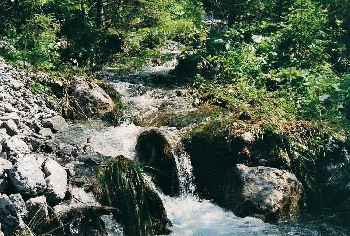 br00_sarotla_2zzz.jpg - Water flows over the rocks with a lovely splashing sound.