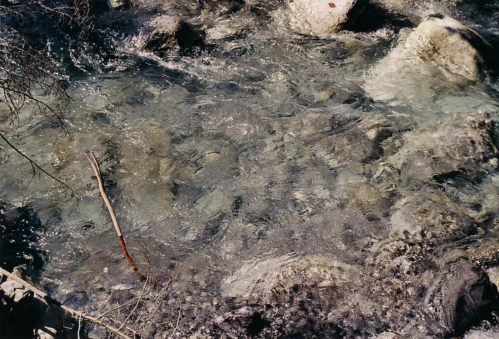 br00_schatten_6.jpg - The Bach water is clear and clean and icy cold.