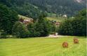 br00_gruenerwald_5