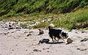 sc04_4115x_scourie_bay_3_j