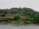 sc05_5384a