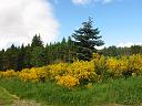 sc05_5460