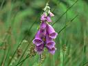 sc06_07071417_0_j