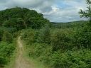 sc06_07081117_0_j