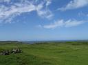 sc06_07141159_0_s_a
