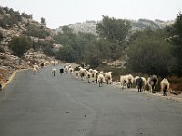 We encountered a brief traffic jam on the way back to Dalabelos.  gr16 092114400 j ab