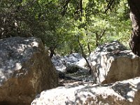 The walk was worth it for the beautiful path -- the correct one.  gr16 092711341 j