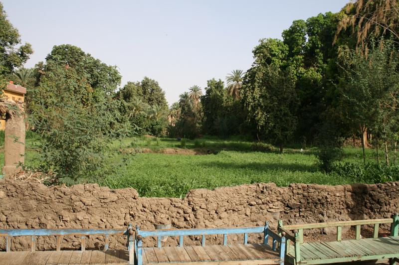 eg07_050208290_j.jpg - Fields next to the Nubian village