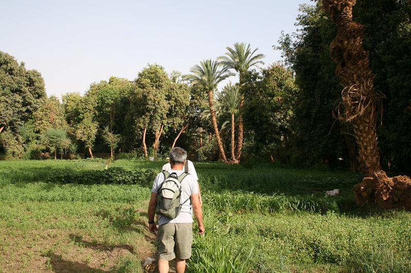 eg07_050208301_j.jpg - Crossing the fields