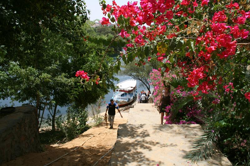 eg07_050212190_j.jpg - Flowers, boat, Nile