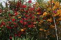 eg07_042713490_j