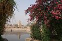 eg07_042908571_j