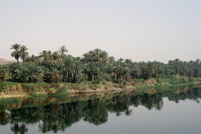 eg07_050309400_j_a.jpg - Shore of the Nile