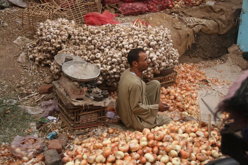 eg07_042818300_j.jpg - Garlic and onions