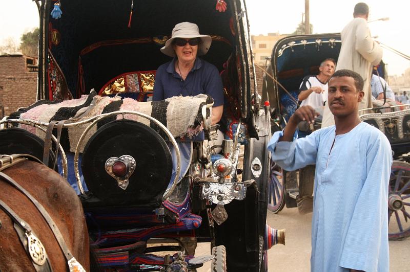eg07_042818460_j_a.jpg - Our driver's name was Moustafa; the horse's, Rambo.