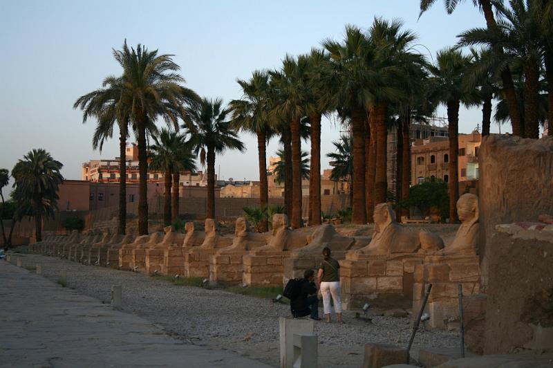 eg07_050419050_j_c.jpg - Avenue of sphinxes