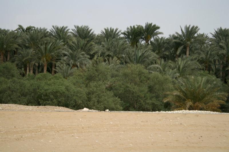eg07_042716201_j_a.jpg - Desert sand to Nile-watered green