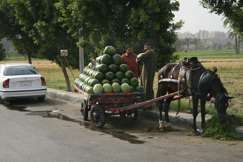 eg07_042716470_j.jpg - Melons for sale