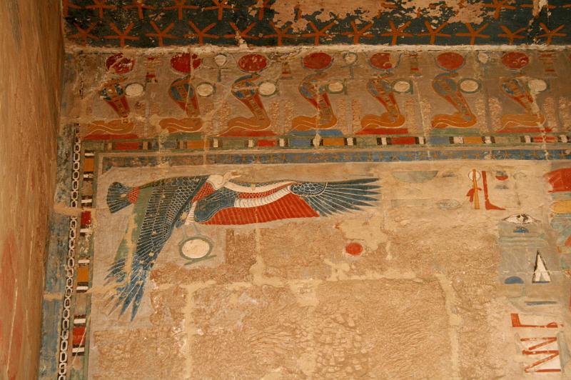 eg07_050408020_j_a.jpg - Brightly colored bird