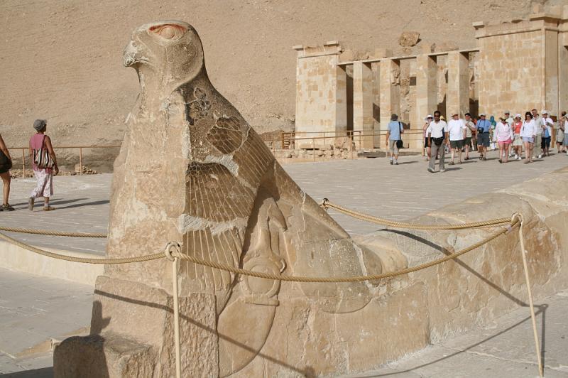 eg07_050408201_j.jpg - Horus again