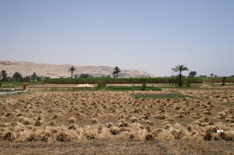eg07_050411400_j.jpg - Fields
