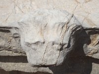 ... lions' heads.  gr17 092010230 s