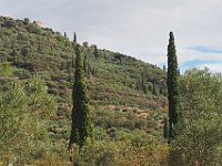 Of course, the day we left, the weather was lovely. More beautiful cypress trees. (These are not at all like Florida cypress.)  gr18 093009230 k