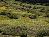 Green lumps around the base of Leirhnjúkur