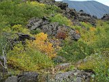 It was late enough in the season (in Iceland) that autumn colors were coming in. That is Hverfell crater looming in the background.