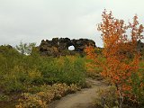 Beautiful autumn birches set off a lava ring.