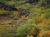 The paths are not that well marked and one was closed at one point, so John got lost and walked much farther than planned. But it was great -- since he had a midge net. Still, after wandering in the wild, it was good to see people again.
