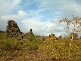 The weather was good for a while, so the light was beauitful on the leaves and rocks.