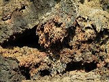 Colorful and fragile-looking but sharp rocks