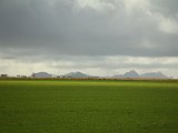 Vestmannaeyjar ("Westman Islands"), about 8 km off the south coast
