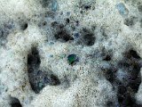 Colors of evanescent "jewels" from prismatic effects of the sea foam