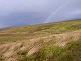 An auspicious rainbow