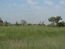 in_0227_08310_j