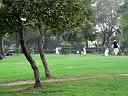 in_0217_14040_j_a